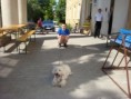 /album/fotogaleria/a10837-173970272006-589077006-3423128-3172406-n-jpg/
